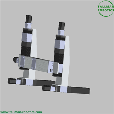 Pro indického klienta budou dokončeny víceosé lineární stupně